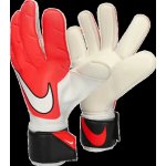 Nike NK GK GRP3-FA20 cn5651-636 – Hledejceny.cz