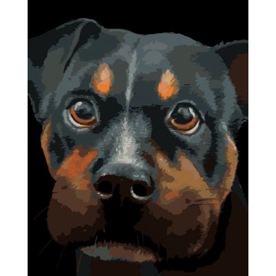 ZUTY Malování podle čísel ROTVAJLER MYROSLAVA VOLOSCHUK Rozměr 80 x 100 cm Rámování bez rámu a bez vypnutí plátna – Zboží Mobilmania