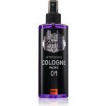 The Shave Factory Pacific voda po holení 250 ml – Hledejceny.cz