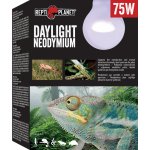 Repti Planet Daylight Neodymium 75 W 007-41013 – Zboží Dáma