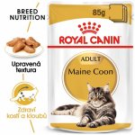Royal Canin Cat Mainecoon 12 x 85 g – Hledejceny.cz