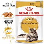 Royal Canin Mainecoon 12 x 85 g – Sleviste.cz