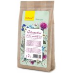 Wolfberry Ostropestřec plod bylinny čaj 50 g – Zboží Mobilmania