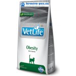 Vet Life Cat OBESITY 10 kg – Zbozi.Blesk.cz