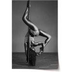 Sablio Plakát Pole dancer Varianta: 120x80cm – Zboží Dáma