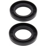 ALL BALLS těsnění klikové hřídele KAWASAKI KX500 83-04 | Zboží Auto