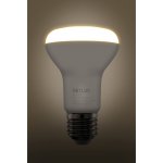 Retlux RLL 424 R63 E27 Spot 10W WW – Hledejceny.cz
