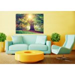 AG Design FTNM-2657 Vliesová fototapeta Free rozměry 160 x 110 cm – Hledejceny.cz