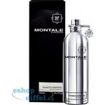 Montale Sandal Sliver parfémovaná voda unisex 100 ml – Hledejceny.cz