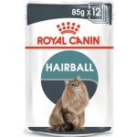 Royal Canin pro kočky Hairball Care 85 g – Hledejceny.cz