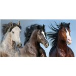 TipTrade osuška 70 x 140 cm divocí koně v přírodě – Sleviste.cz