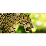 Sony Bravia XR-65A90J – Zbozi.Blesk.cz