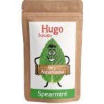 Stévík Hugo Žvýkačky Spearmint 45 g – Zboží Dáma