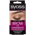 Syoss Brow Tint dlouhotrvající barva na obočí Black 17 ml – Zboží Dáma