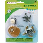 Safari Životní cyklus Mořská želva – Zboží Dáma