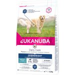 Eukanuba Daily Care Overweight & Sterilized 2,5 kg – Hledejceny.cz