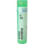 ARNICA MONTANA POR 5CH GRA 4G – Hledejceny.cz