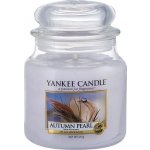 Yankee Candle Autumn Pearl 411 g – Zbozi.Blesk.cz