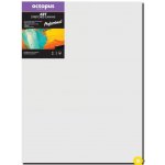 Octopus Professional malířské plátno 350 g 50 x 60 cm – Zboží Dáma