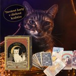 Kočky vládnou světu Tarot Catherine Davidson – Hledejceny.cz