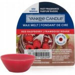 Yankee Candle vosk do aroma lampy Red Raspberry 22 g – Zboží Dáma