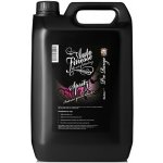 Auto Finesse Spritz Interior Quick Detailer 5 l – Hledejceny.cz