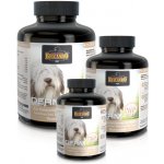 Belcando Derm 120 tbl – Hledejceny.cz