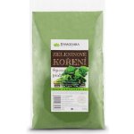 Damodara Špenát pudr 100 g – Hledejceny.cz