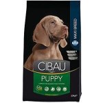 Cibau Dog Puppy Maxi 2,5 kg – Hledejceny.cz