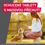 Frontcontrol Wormer pro psy 10 kg 2 tablety – Sleviste.cz