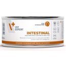 Vet Expert VetExpert VD 4T Intestinal Cat 100 g