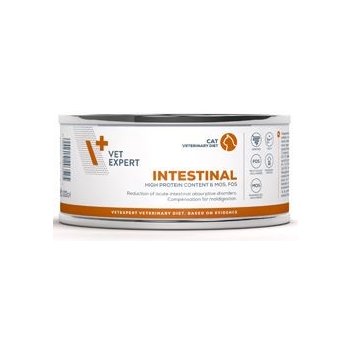 Vet Expert VetExpert VD 4T Intestinal Cat 100 g