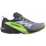 Salomon Sense Ride 5 Gore-TexFlint/Black/Grgeck L47312800 – Hledejceny.cz