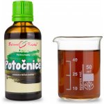 Bylinné kapky Potočnice tinktura 50 ml – Hledejceny.cz