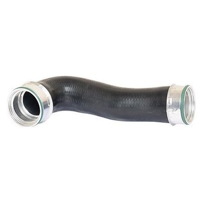 Hadička plnícího vzduchu BUGIAD 82656 | Zboží Auto