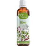 Serafin tinktura z bylin Hloh 50 ml – Zbozi.Blesk.cz