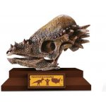 Albi Lovci lebek Pachycephalosaurus – Zboží Dáma