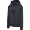 Dětská mikina Hummel hml Cuatro Hoodie 213850-2736