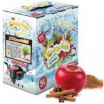 Ovocňák mošt jablko se skořicí 3 l – Zboží Dáma