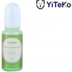 YiTeKo Svítící pigment do pryskyřice Apple Green 16 10 ml – Zboží Mobilmania