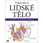Vybarvěte si LIDSKÉ TĚLO / Anatomie - 215 ilustrací s popisky – Hledejceny.cz