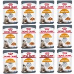 Royal Canin Hair & Skin Care jelly 12 x 85 g – Hledejceny.cz