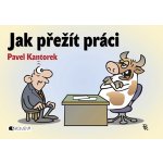 Jak přežít práci - P. Kantorek - Kantorek Pavel – Hledejceny.cz