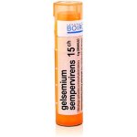 GELSEMIUM SEMPERVIRENS POR 15CH GRA 1X4G – Hledejceny.cz