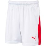 Puma LIGA SHORTS WITH BRIEF JR – Hledejceny.cz