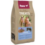 Pavo Healthy Treats Lněné semínko 1 kg – Zboží Dáma