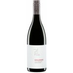 Weingut Paul Achs Edelgrund Frankovka suché červené 2022 13,5% 0,75 l (holá láhev) – Hledejceny.cz