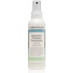 Waterclouds Intensive Volume Treatment bezoplachový sprej na vlasy pro výživu a objem vlasů 150 ml – Hledejceny.cz