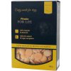 Pamlsek pro psa Fitmin Psí piškoty For Life Mini 180 g