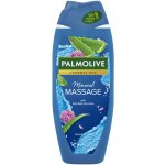 Palmolive Thermal Spa Mineral Massage sprchový gel 250 ml – Zboží Mobilmania